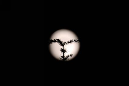 Una notte di luna rossa: ecco l'eclissi nel mondo 5