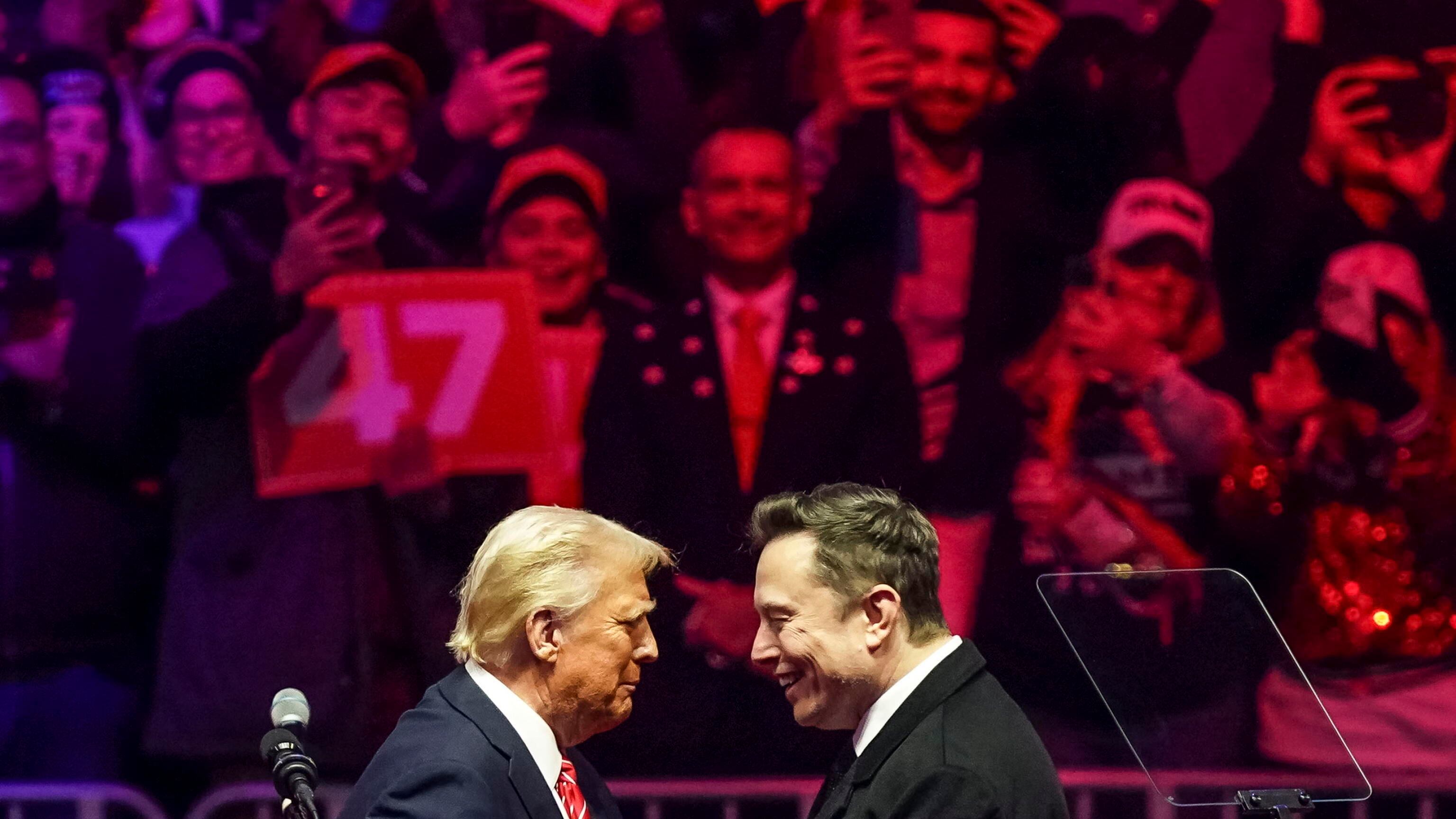 "Aiuterà di nuovo Donald Trump": voci sul ritorno di Musk nella politica Usa