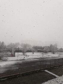 Nevica a Milano 9