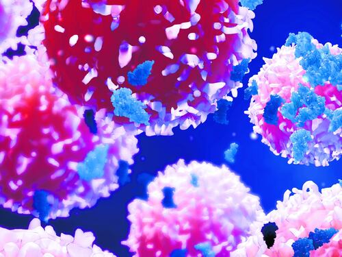 Tumore gastrico metastatico: verso un equo accesso alle cure su tutto il territorio nazionale