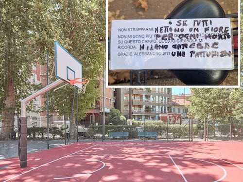 A Milano scoppia la "protesta dei girasoli" per Alessandro. Cosa è successo