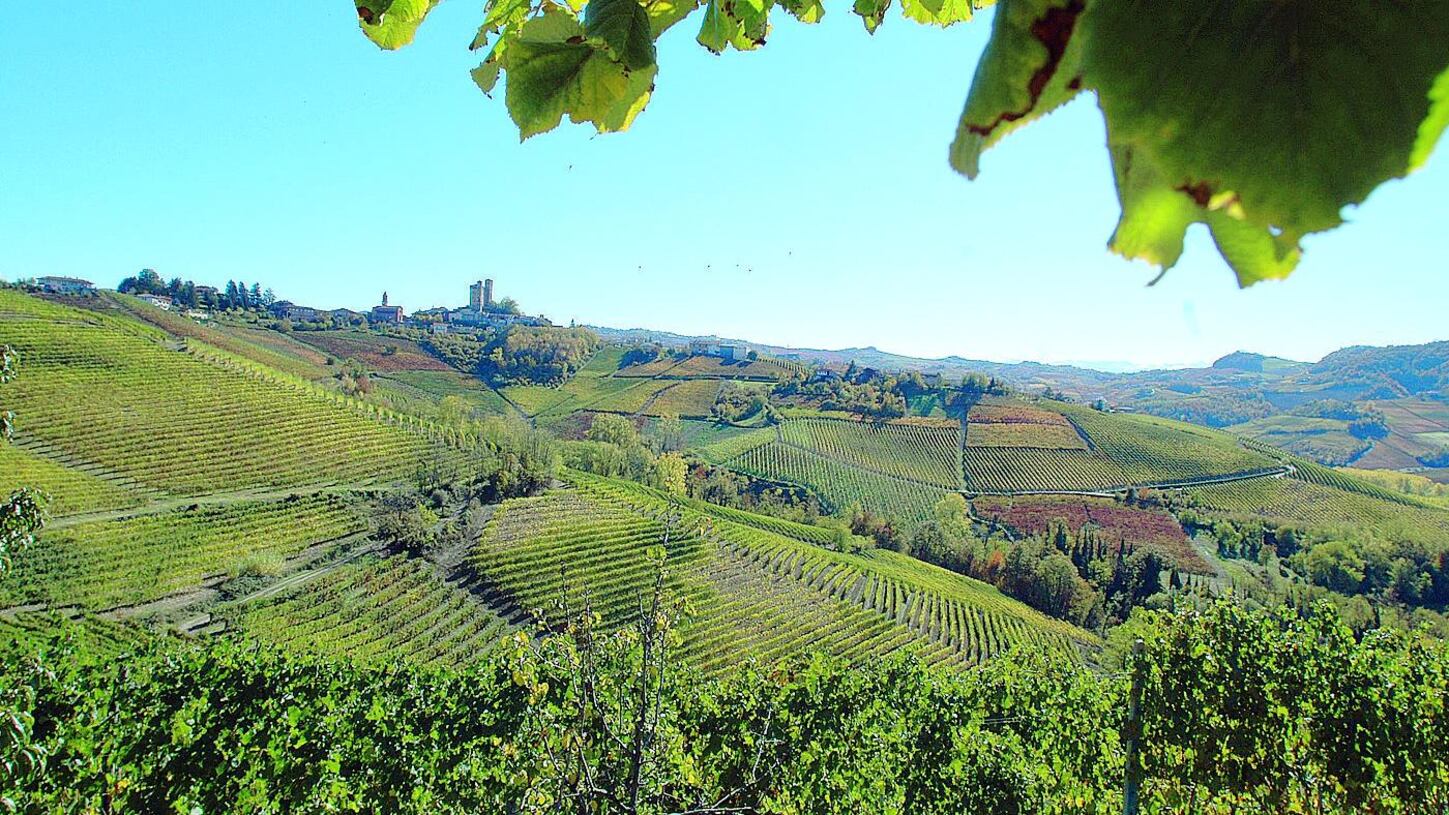 Vendemmia a cinque stelle per un bicchiere di relax
