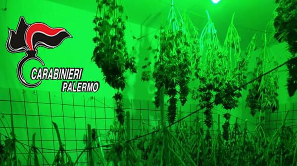 Rubavano elettricità per coltivare cannabis: arrestati due fratelli