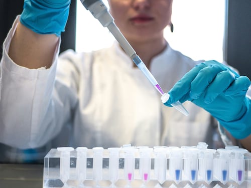 Scoperto il gene della longevità che può combattere l’Alzheimer