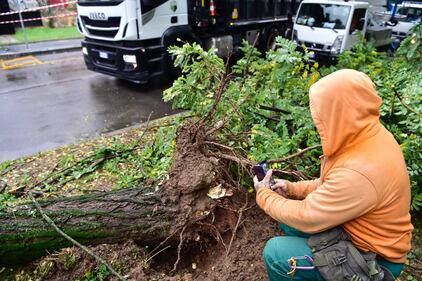 Strade allagate e alberi caduti: nubifragio si abbatte su Milano 2