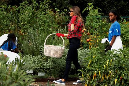 Melania Trump come Michelle: fa l'orto alla Casa Bianca 3