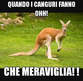 Ddl Cirinnà, il web sfotte il canguro e il Pd 5