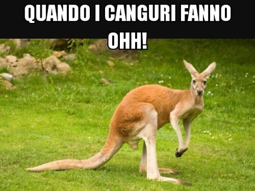 Il web sfotte la Cirinnà e il canguro