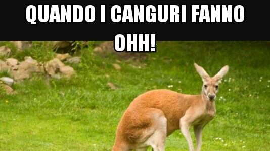 Il web sfotte la Cirinnà e il canguro