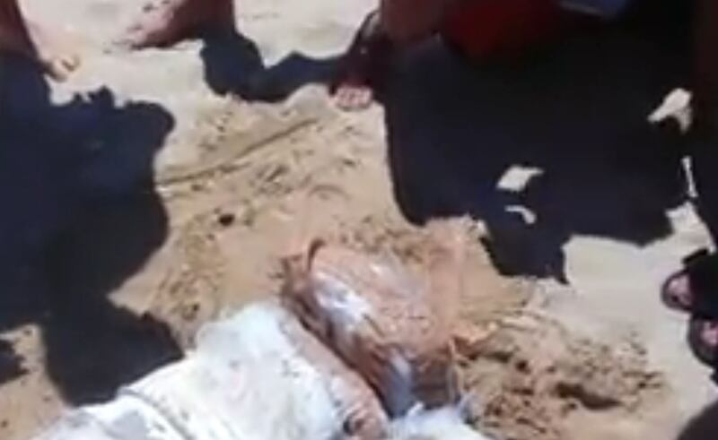 Pacchi di marijuana sulle spiagge abruzzesi 3
