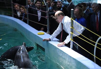 Putin faccia a faccia con un tricheco 1