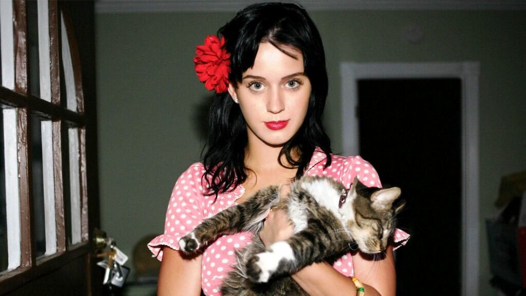 Katy Perry piange la morte del suo gatto
