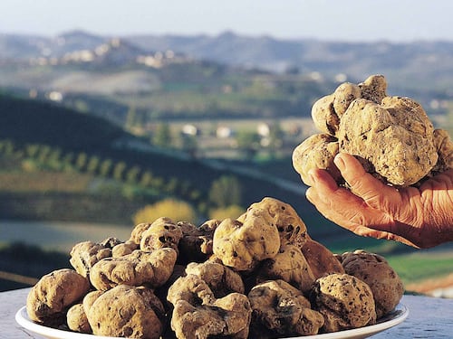 Patrimonio Immateriale Unesco, candidati tartufo e Perdonanza Celestiniana