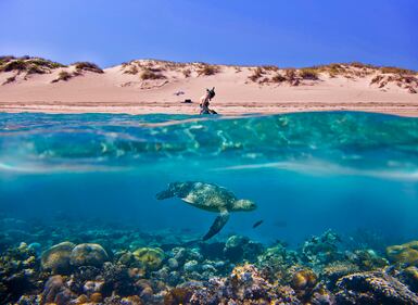 Nathan Wills, Australia, 2013 Sony World Photography Awards