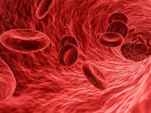 In arrivo un test del sangue per la diagnosi di 50 tipi di tumore