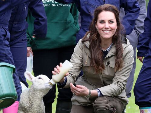 Kate dà il biberon agli agnellini