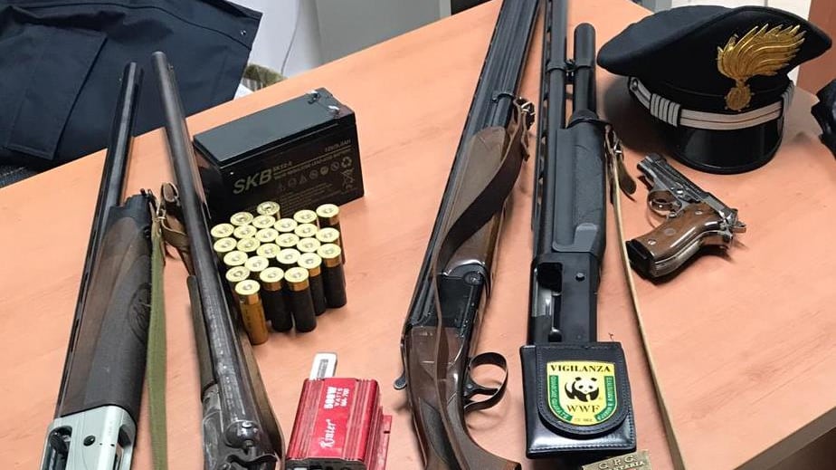 Offensiva anti-bracconaggio: raffica di sequestri
