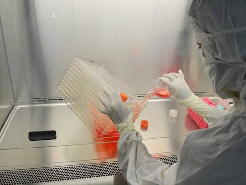 Covid, una molecola di RNA può combatterlo in maniera precoce