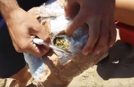 Pacchi di marijuana sulle spiagge abruzzesi 4