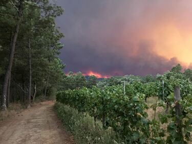 Incendio in Portogallo: 58 morti 15