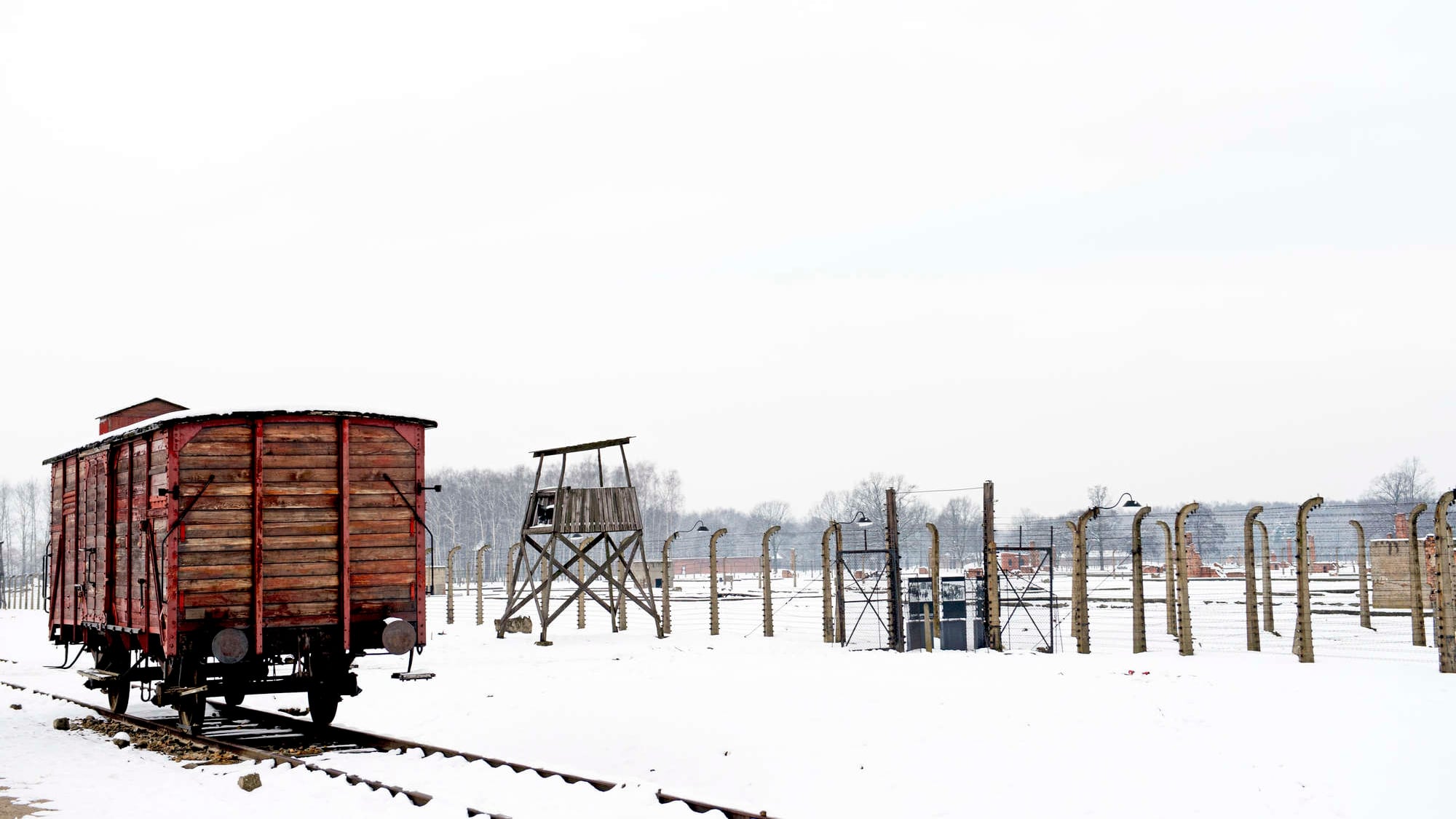 Riccardo Pacifici e David Parenzo bloccati nel campo di Auschwitz