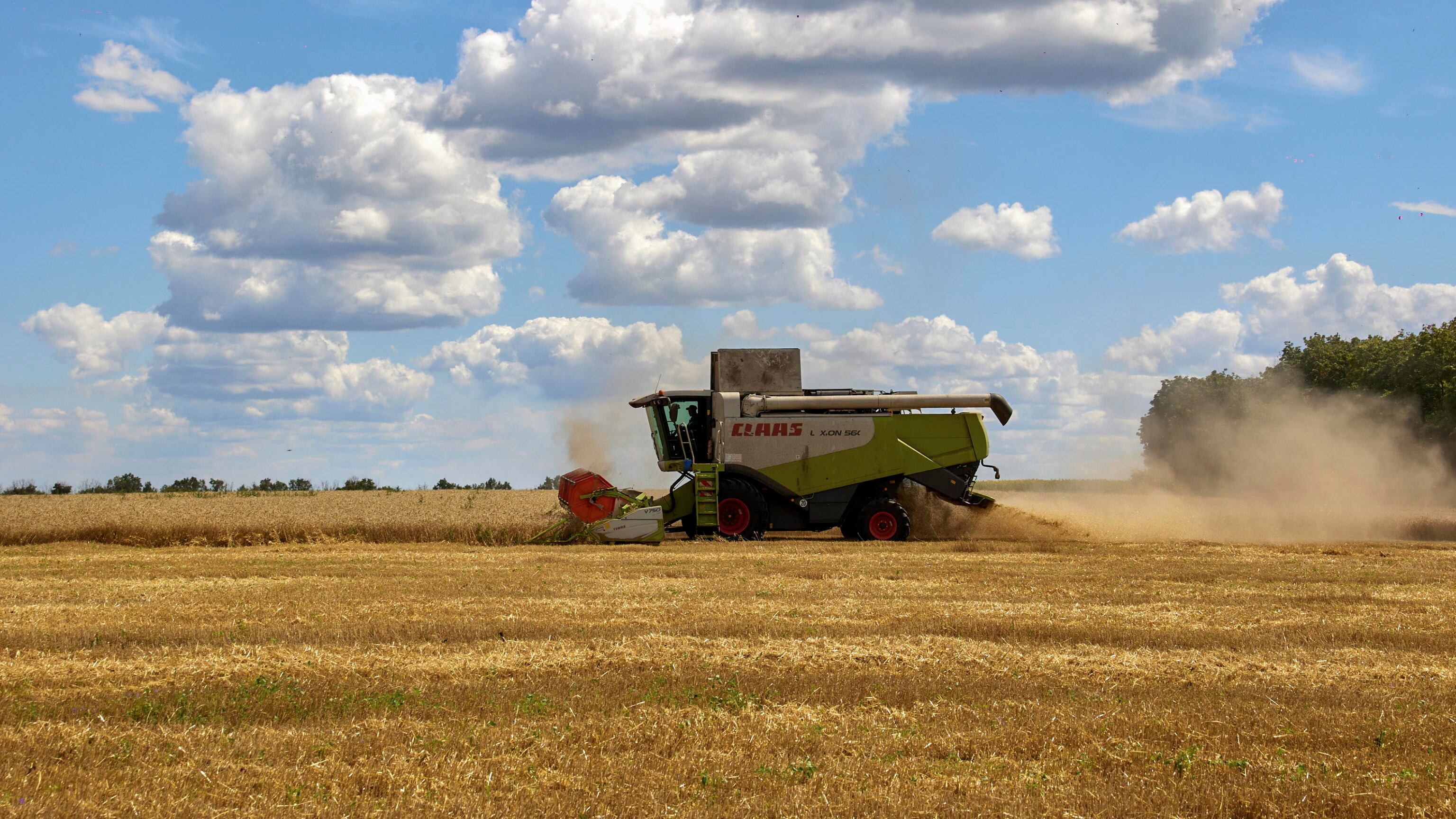 Il grano ucraino passerà dalla Croazia: cosa dice il nuovo accordo (senza la Russia)