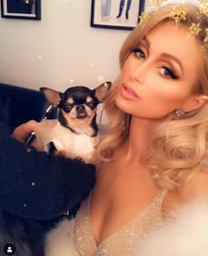 Paris Hilton, le foto sexy 5