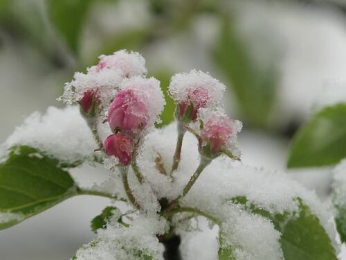 Colpo di coda dell'inverno: da domani pioggia, neve, vento e temperature basse