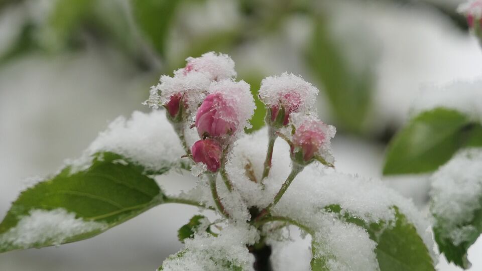 Colpo di coda dell'inverno: da domani pioggia, neve, vento e temperature basse