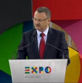 Expo al via: ecco l'inaugurazione 4
