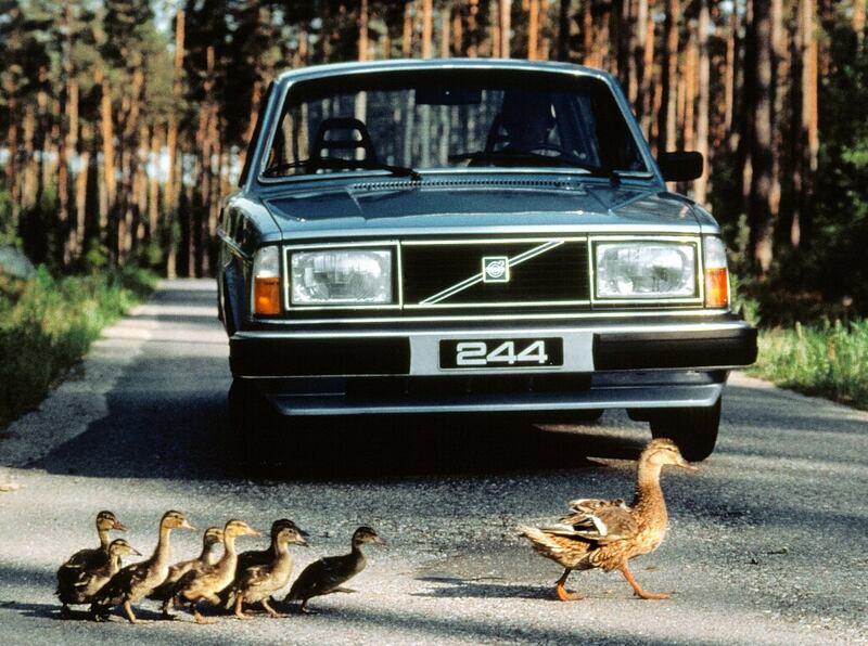 Volvo 244