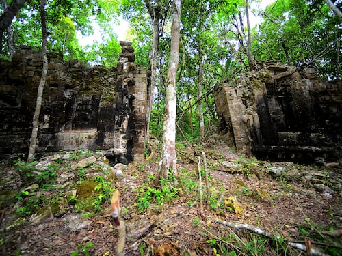 Due città maya scoperte in Messico