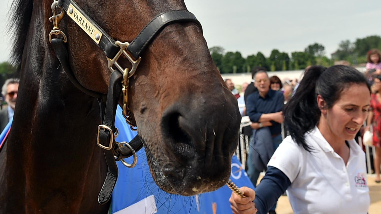L'Ippodromo è rinato lo battezza Varenne