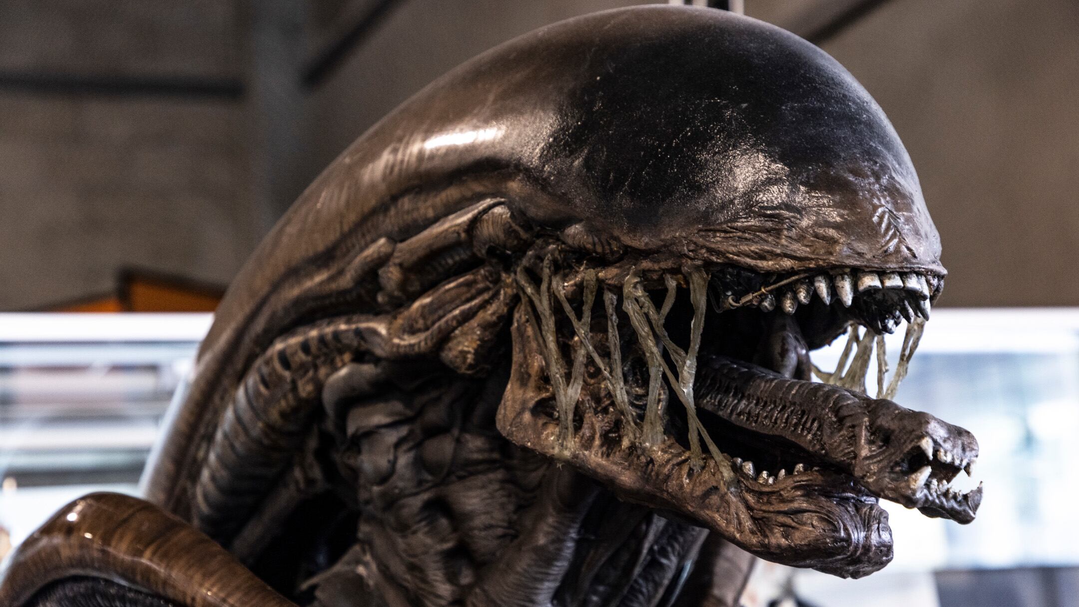 Alien: Pianeta Terra su Disney+, tra nuovi ibridi e il ricordo che siamo mortali