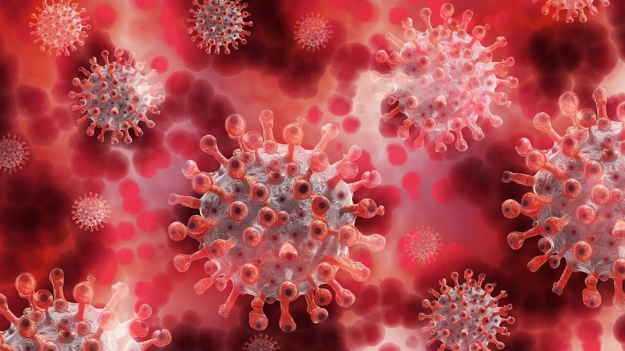 Covid, un nuovo algoritmo può prevedere l’andamento e le varianti