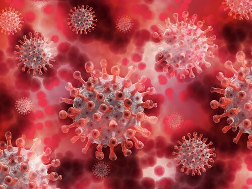 Covid, un nuovo algoritmo può prevedere l’andamento e le varianti
