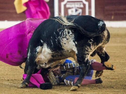 Incornato dal toro durante la corrida in Spagna, grave il matador