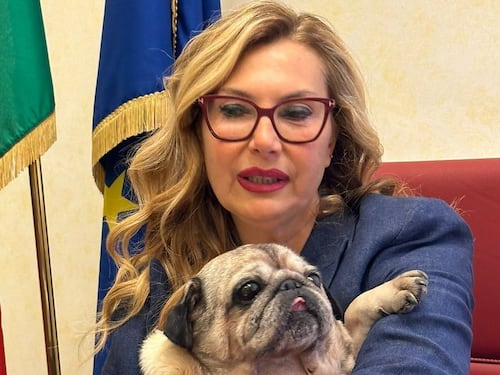 Su Ita cani a bordo fino a 30 kg Biancofiore: “Anche su voli esteri”