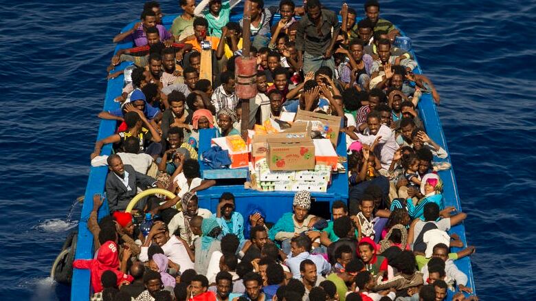 Interpreti, psicologi e autisti. Un'accoglienza da 4 miliardi