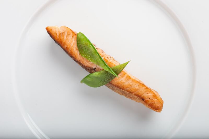 salmone