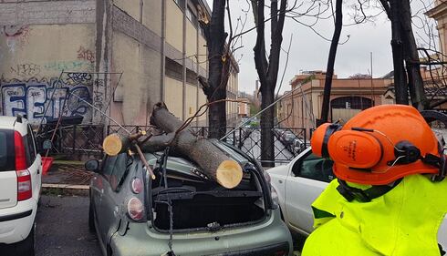 albero caduto a Roma