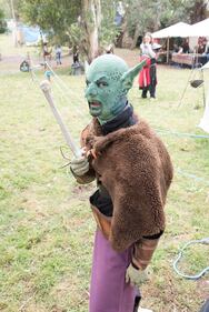 Alla Mostra d'Oltremare i cosplayer del Comicons 4