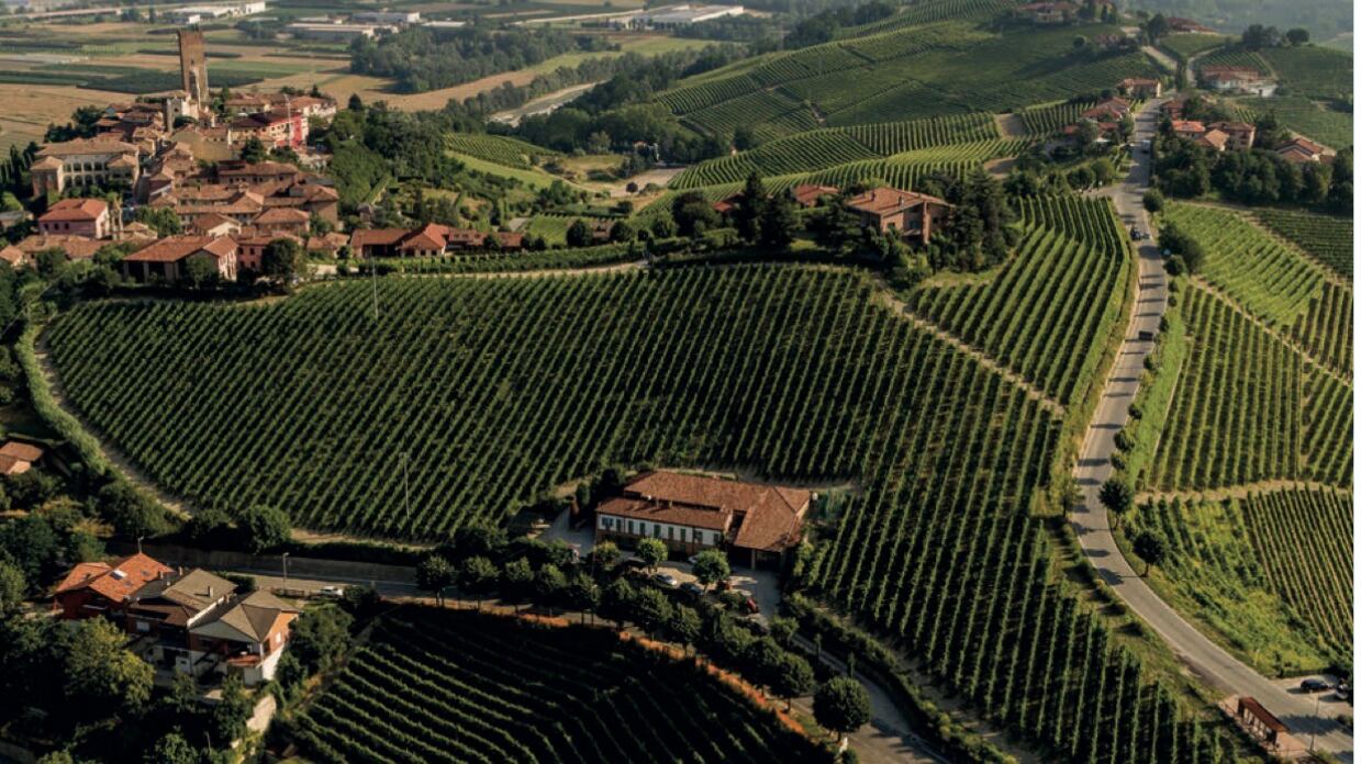 Damagi, il Cabernet Sauvignon alla piemontese