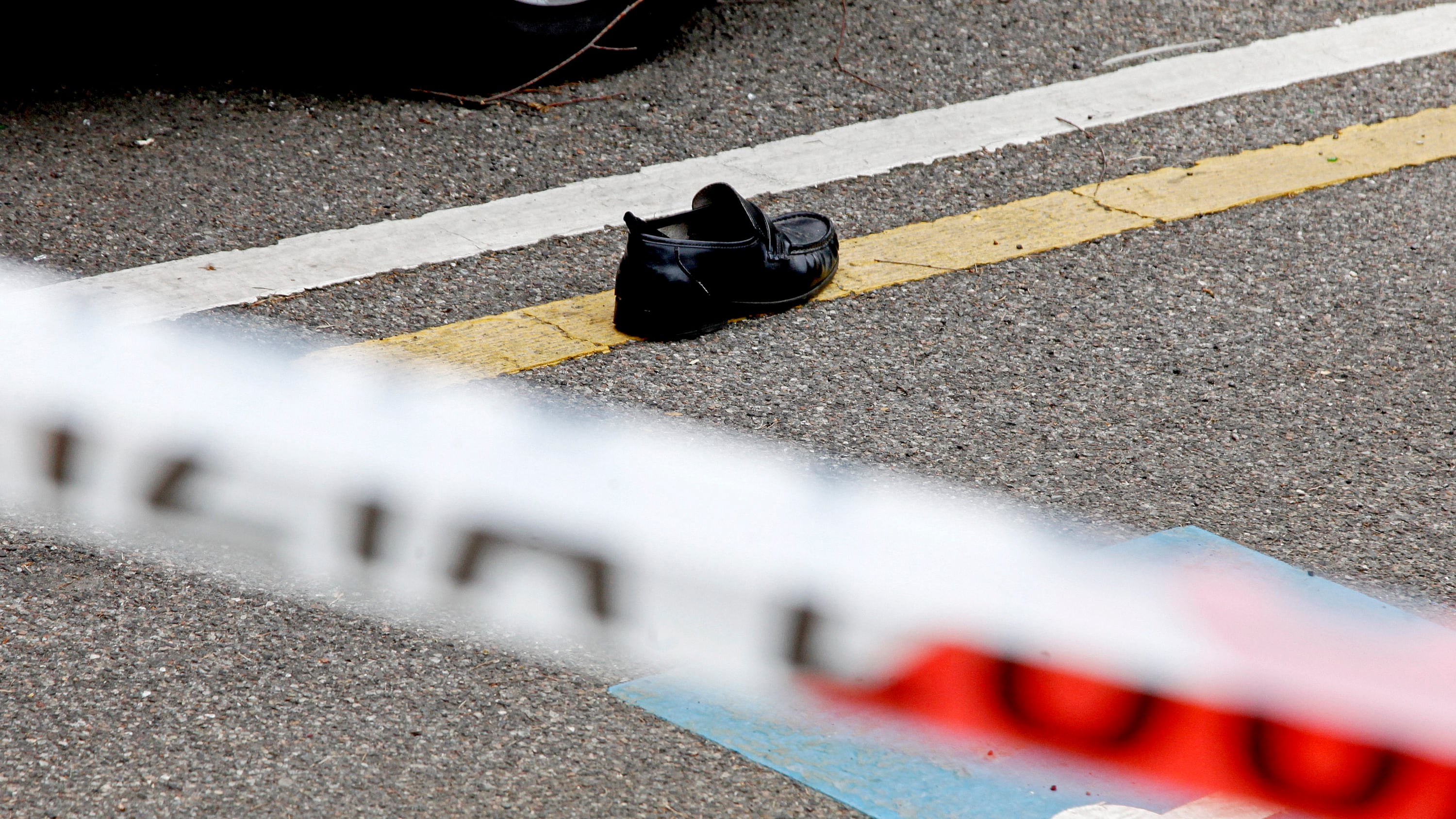 Il legale delle vittime: "Con la nuova legge meno morti ma più pirati della strada"