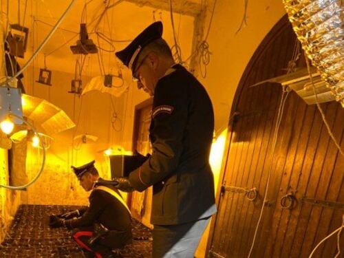 Coltivavano cannabis in un casolare nascosto tra i fichi d'india: arrestati due palermitani