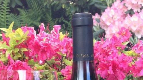 Ludwig 2010 sbaraglia i Pinot Neri