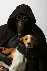 I personaggi di Star Wars per l'adozione degli animali 17