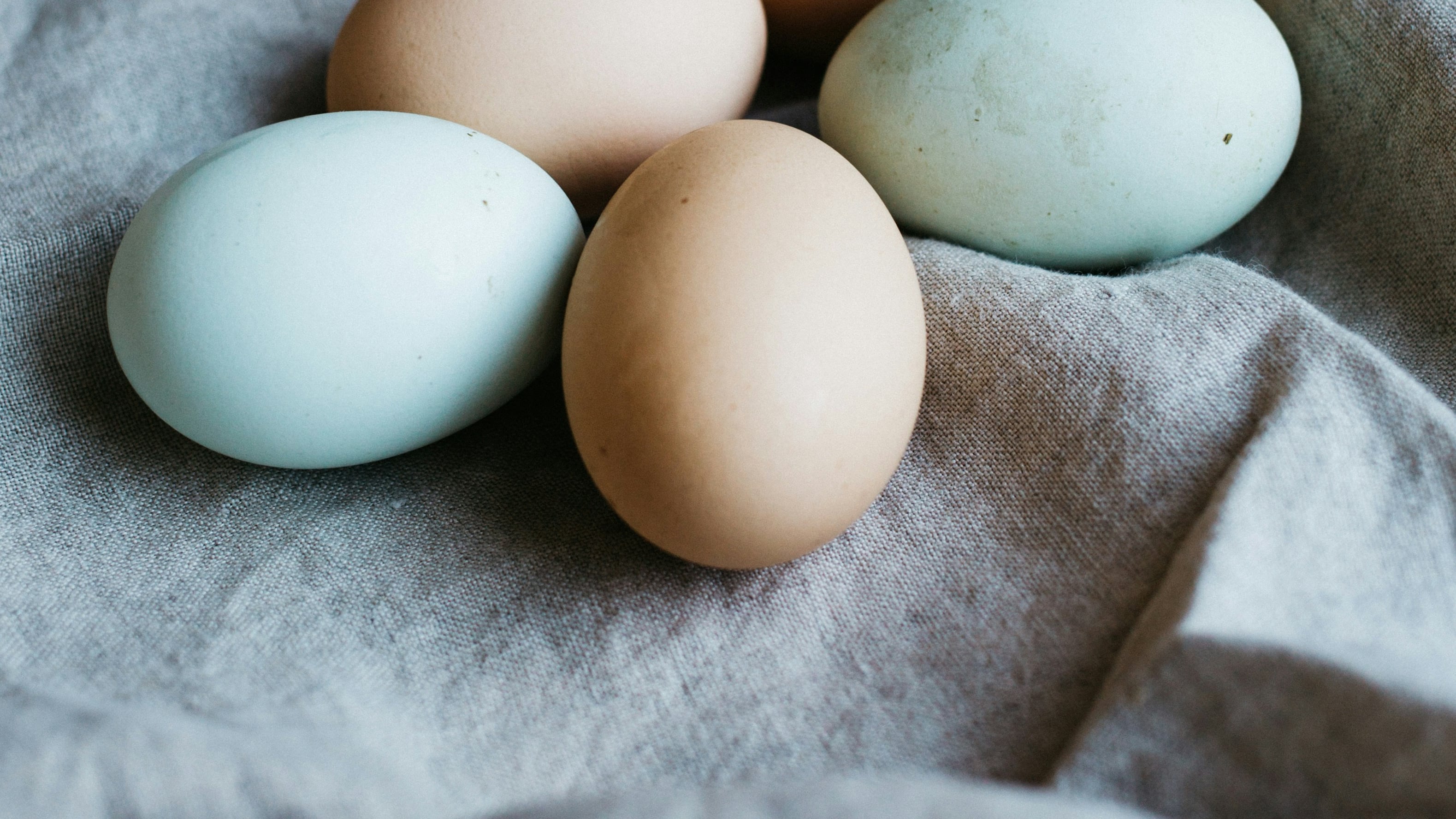 L'elisir per una lunga vita? Mangiare un uovo al giorno