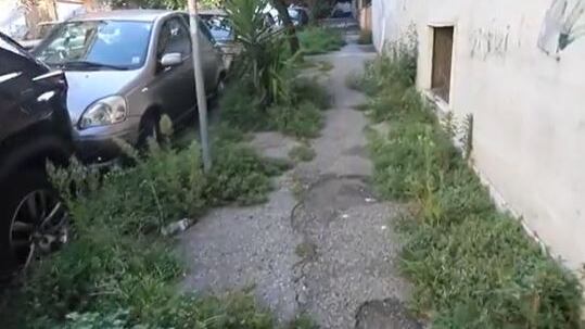 L’ennesima promessa di Gualtieri: “Entro 30 giorni via le erbacce dai marciapiedi”