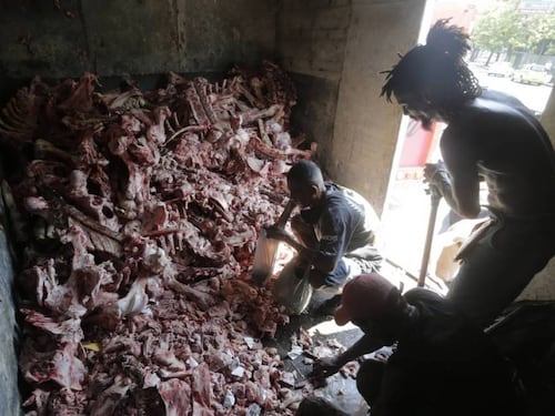 Caccia al cibo tra le carcasse. Una foto indigna il Brasile